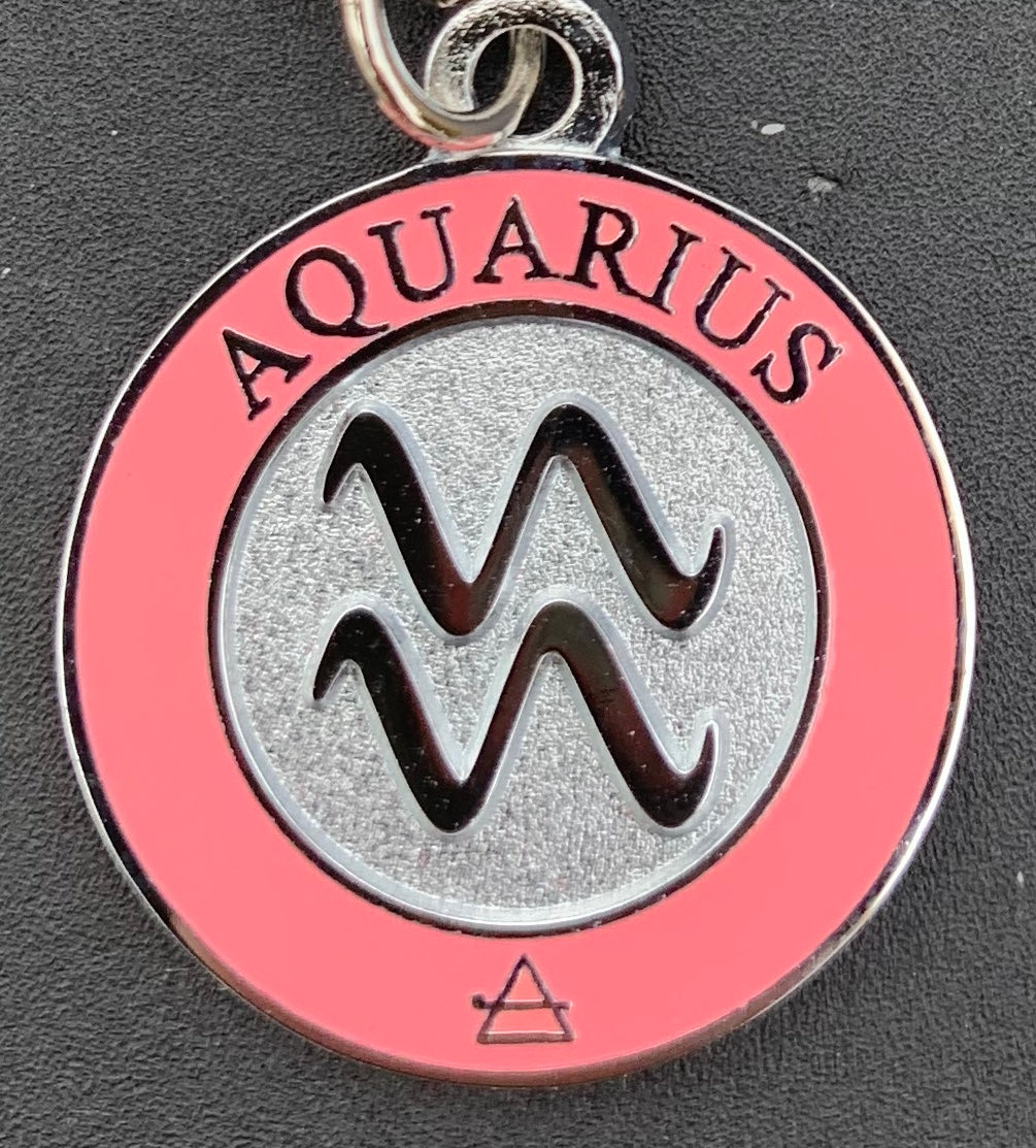 Aquarius Zodiac Charm