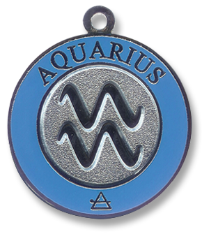 Aquarius Zodiac Charm